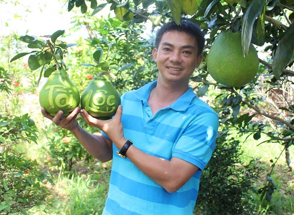 Quả[-]bưởi[-]vuông[-]kỳ[-]lạ[-]lần[-]đầu[-]tiên[-]xuất[-]hiện[-]ở[-]Việt[-]Nam